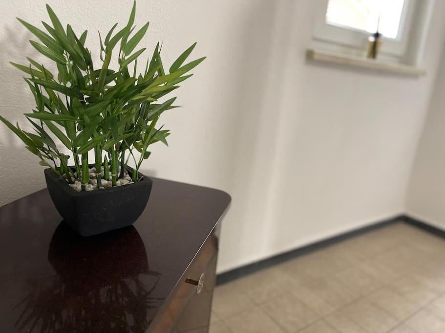 « la Parenthese » Appartement
